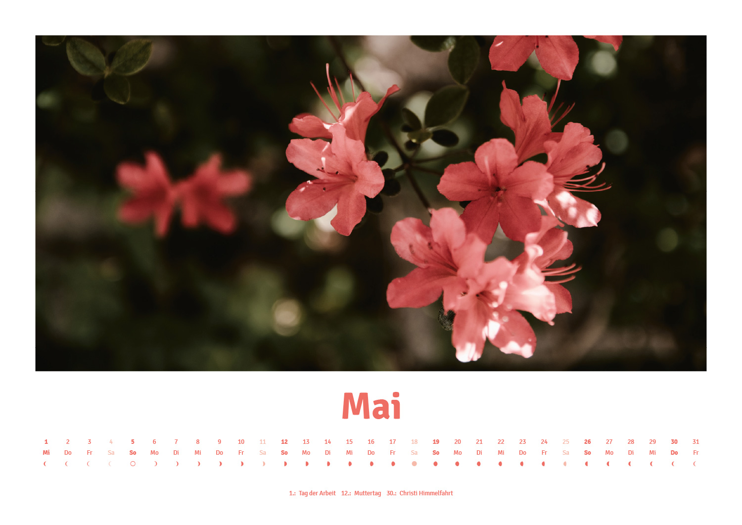 Calidario-PANTONE calendar 2019 in May with cherry blossom motif