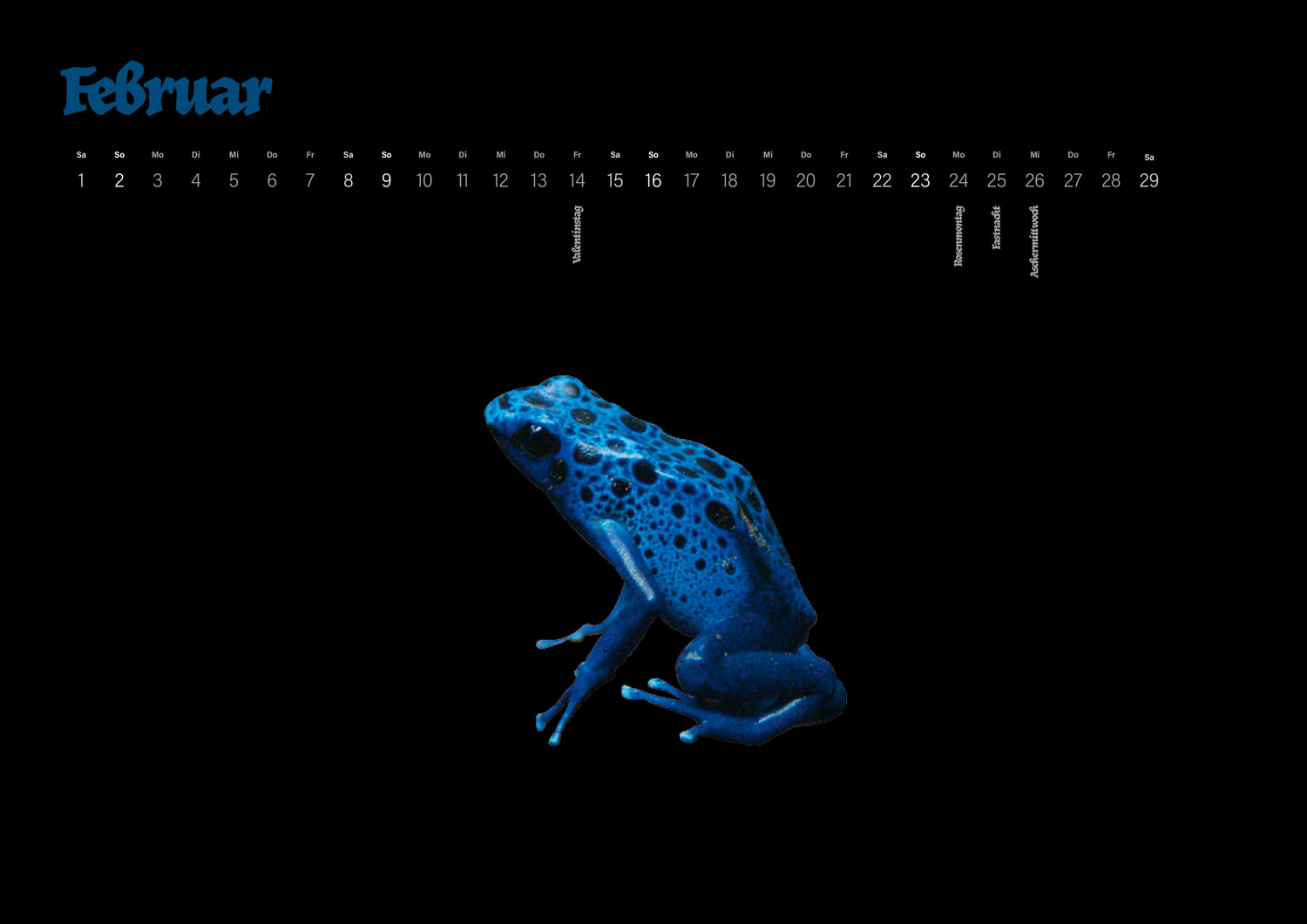 Calidario PANTONE calendar 2020 in February with a frog motif