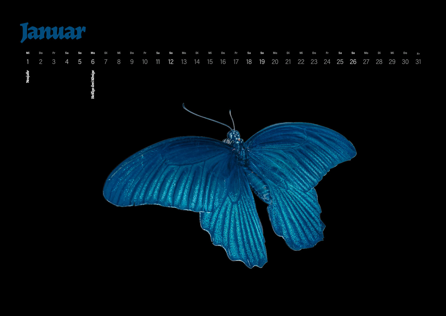 Calidario-PANTONE-Kalender 2020 im Januar mit Schmetterlingsmotiv