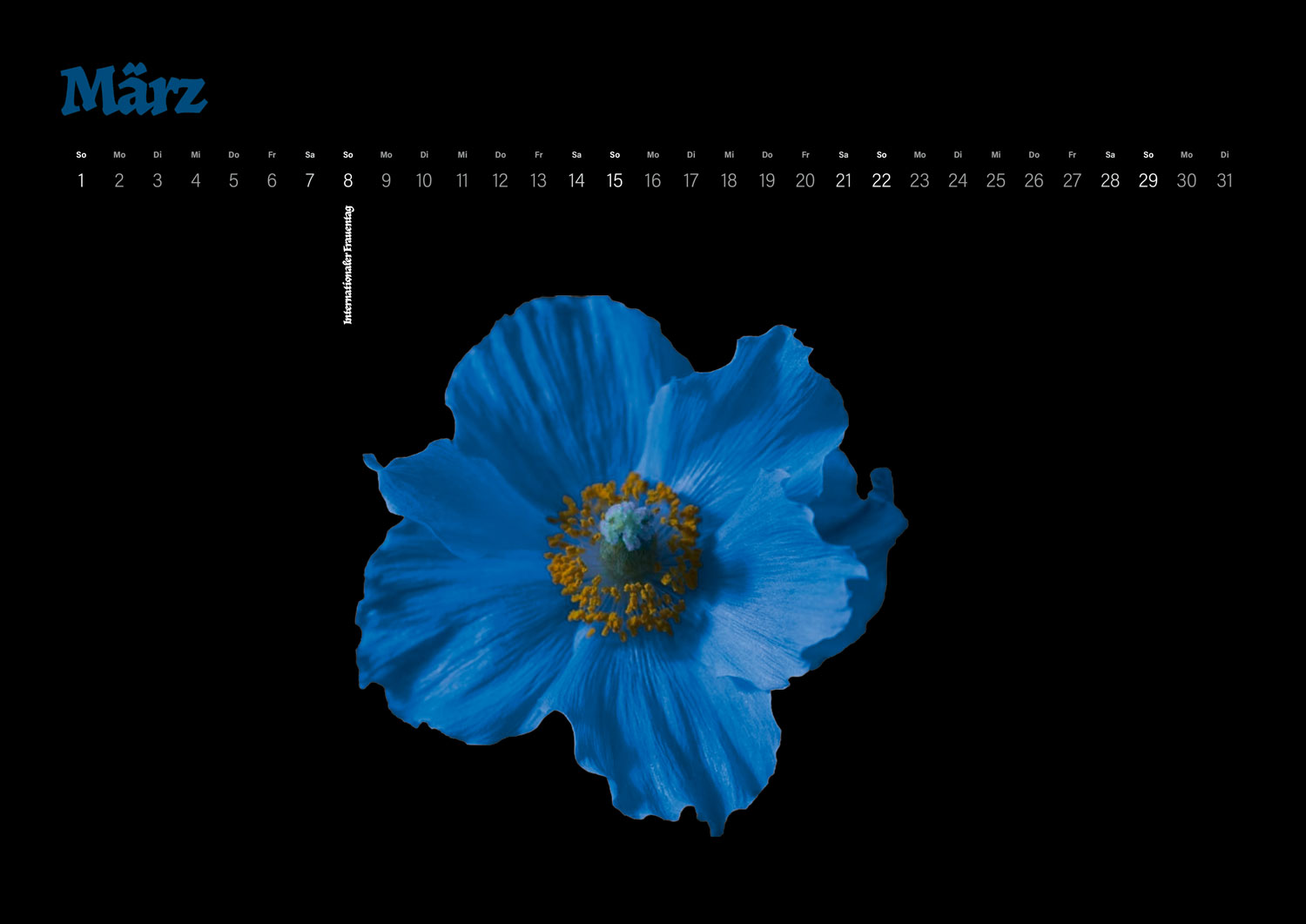 Calidario-PANTONE-Kalender 2020 im März mit Blumenmotiv